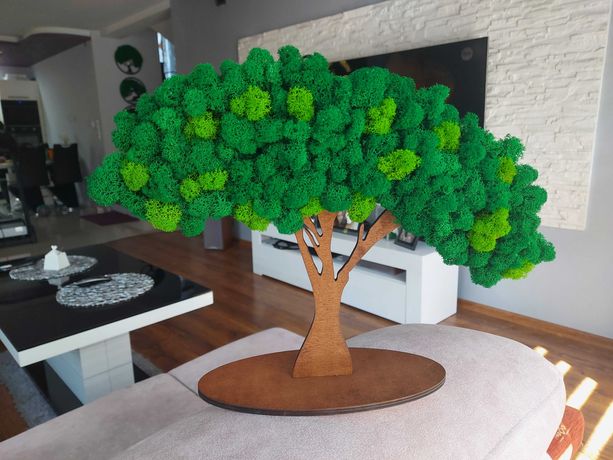Drzewo mech chrobotek, 30×40cm