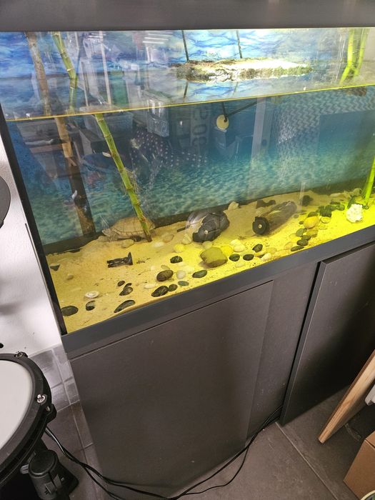 Aquario 200L com Movel