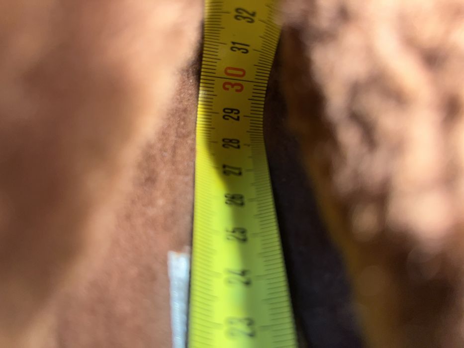 Moreschi сапоги мужские 43