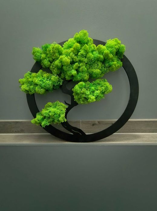 Drzewo bonsai - dekoracja, prezent chrobotek 40cm
