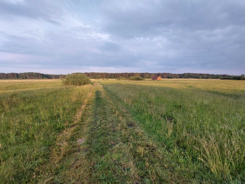 sprzedam działkę 1,3 ha,  teren z dostępem do rzeki Drwęcy.