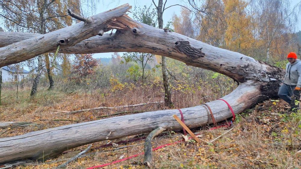 Czyszczenie działek