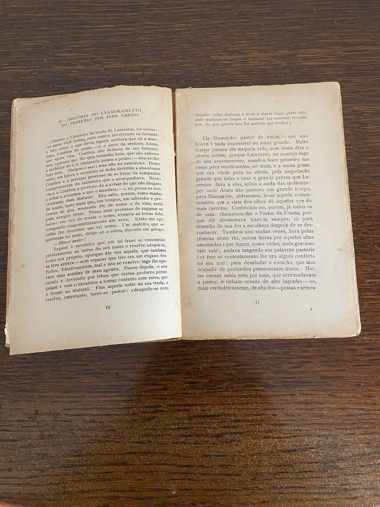 O Livro de Menina e Moça de Bernardino Ribeiro de 1938