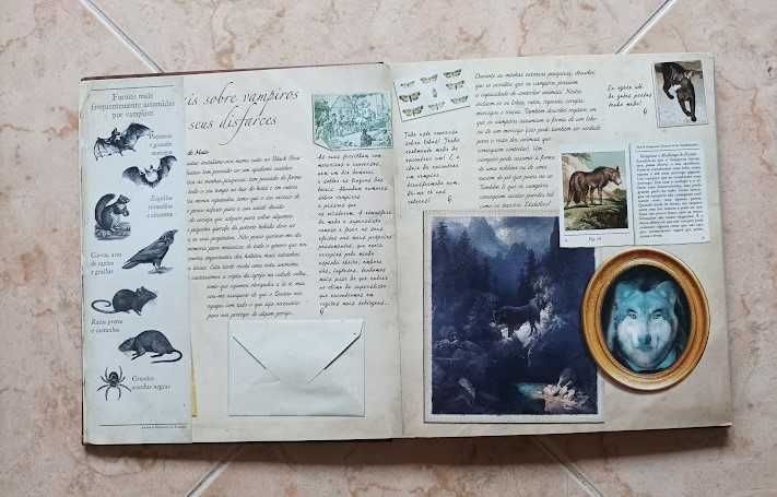 2 Livro s - sobre Dinossauros e sobre Vampiros