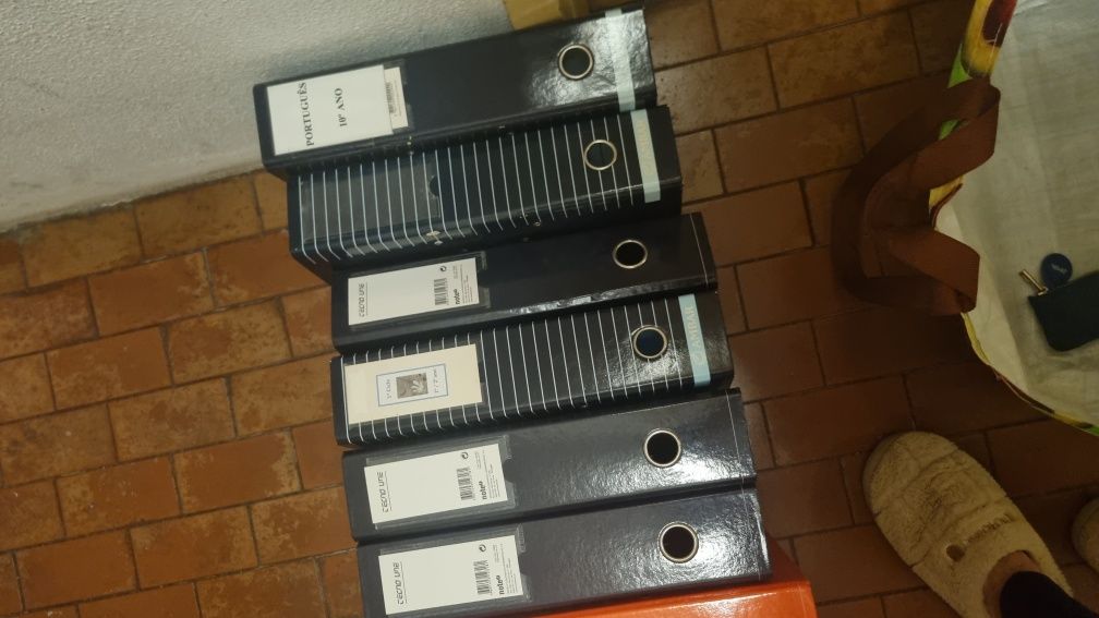 Dossiers lombada larga várias cores