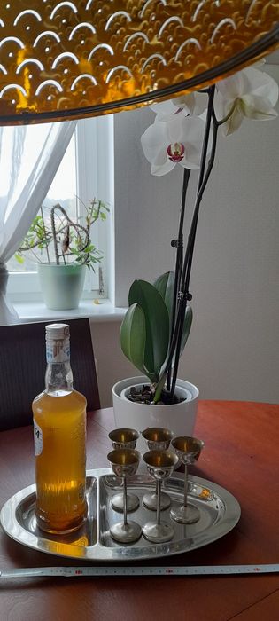 Przedwojenna taca do kieliszków firmy niemieckiej WFM CROMARGAN ze st