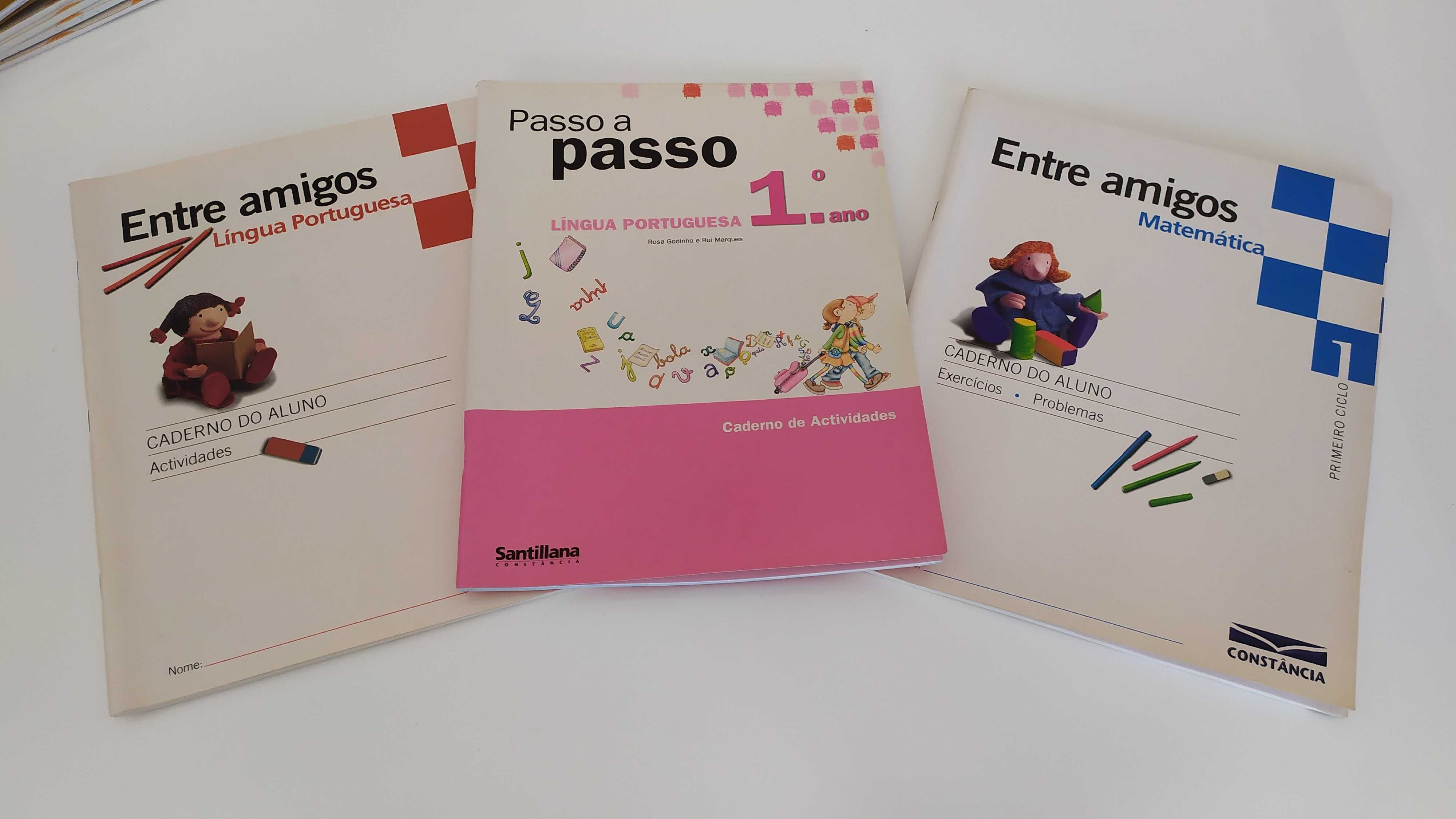 Livros, fichas de exercícios, etc. 1º ano