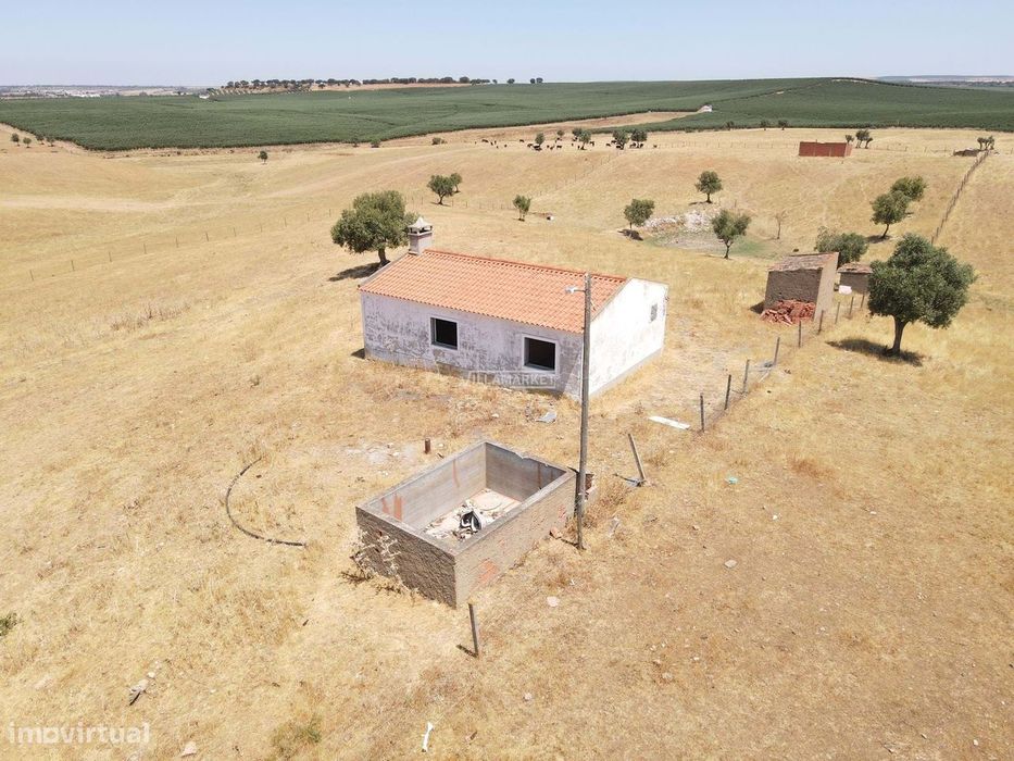 3 Lotes de terreno rústico confinantes, numa excelente localização, e