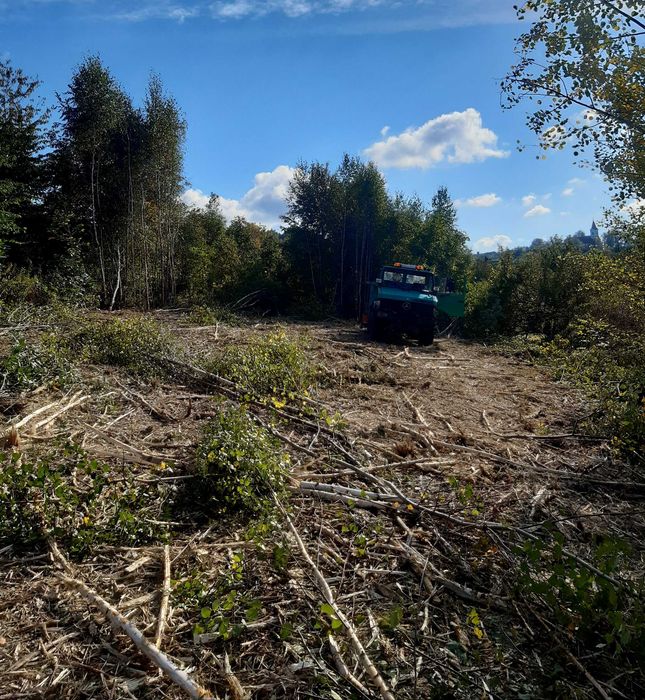 Czyszczenie karczowanie dzialek wycinka pod inwestycje Mulczer leśny