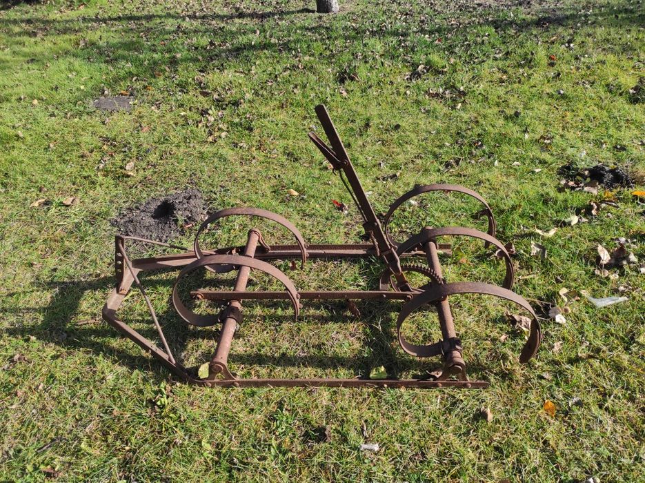 Sprężynówka konna