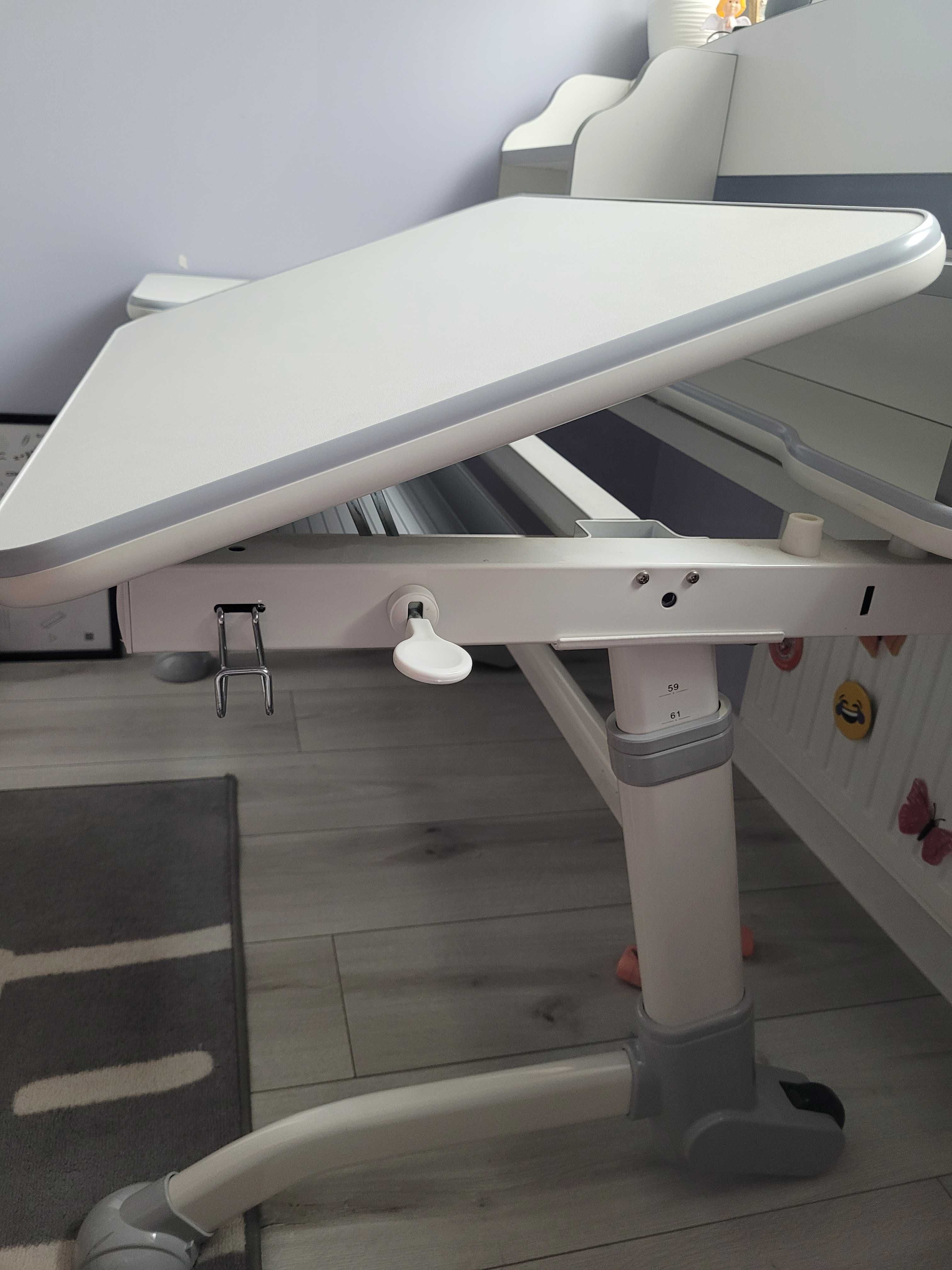 Biurko regulowane Fun desk