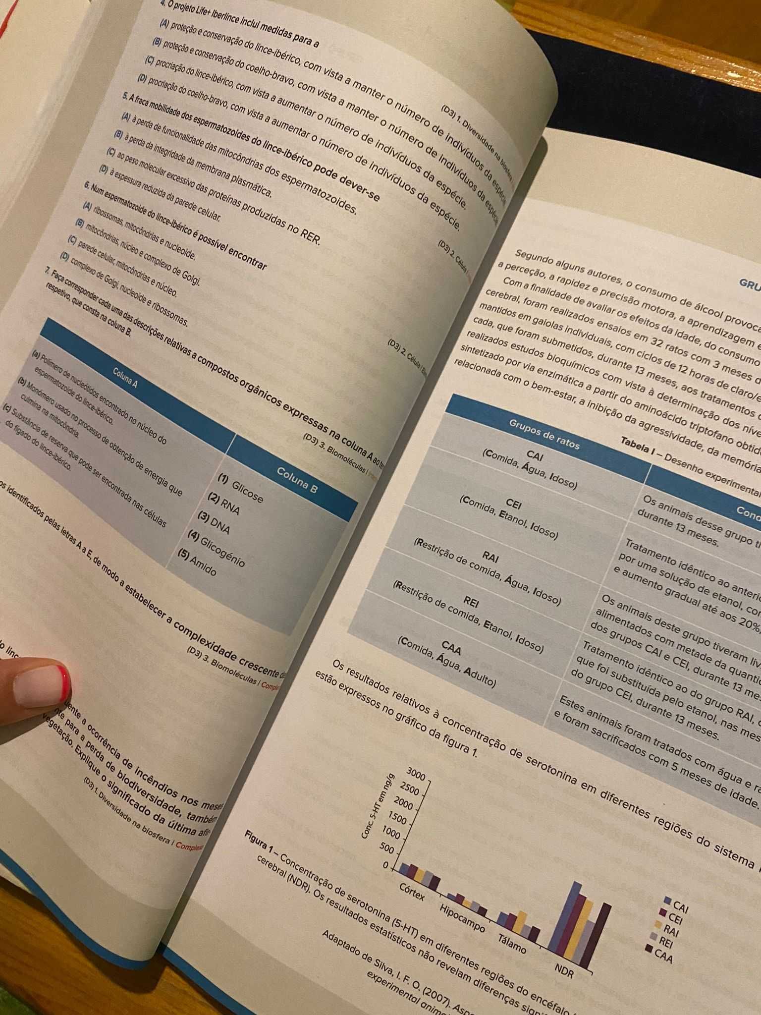 Preparar Exame Física e Química e/ou Biologia e Geologia 11º ano
