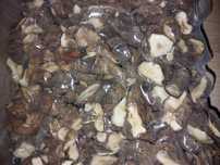 Topinambur suszony 20 kg