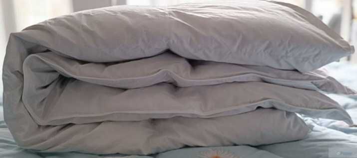 Ковдра касетна пухова зимова   Down Duvet Natur Daunne 200x220