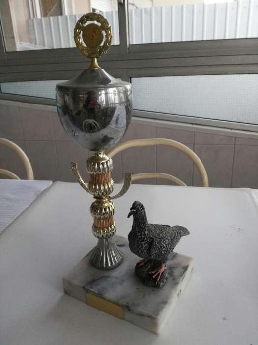 Taças de Columbófilia