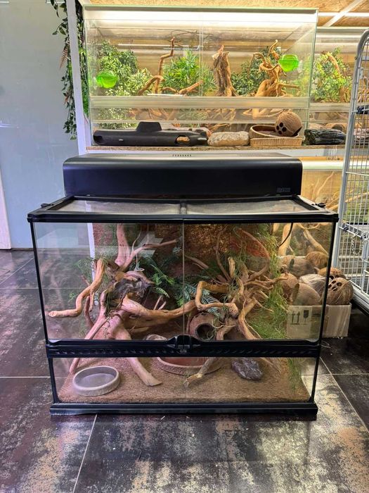 Тераріум скляний для рептилій (різні)