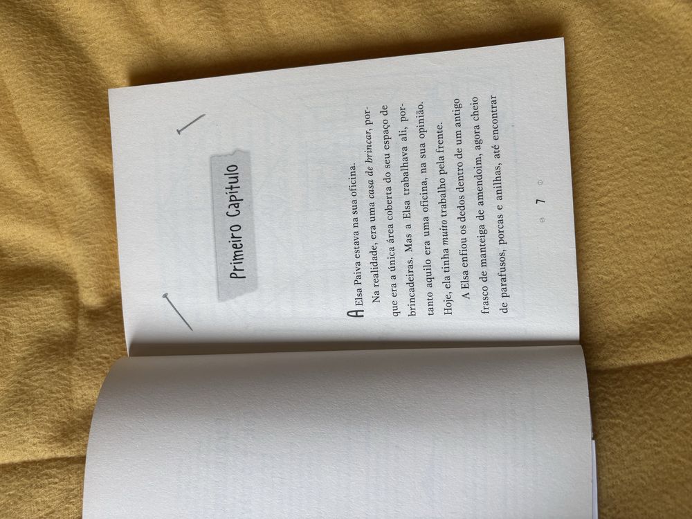 Livro “Elsa Engenheira”