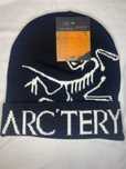 Шапка Arcteryx чорна