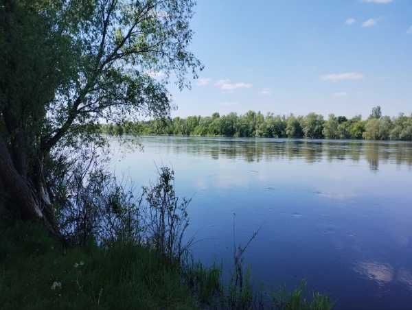 Продам буд. біля р. Десни, Рожни — чудове місце для родини!