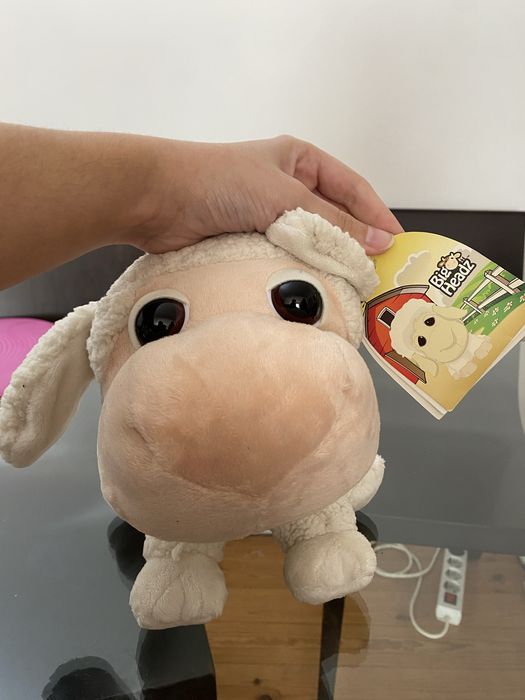 Animal da Quintinha Ovelha