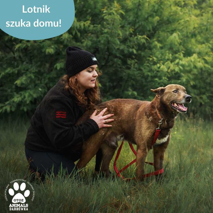 Lotnik szuka kochającego domu!