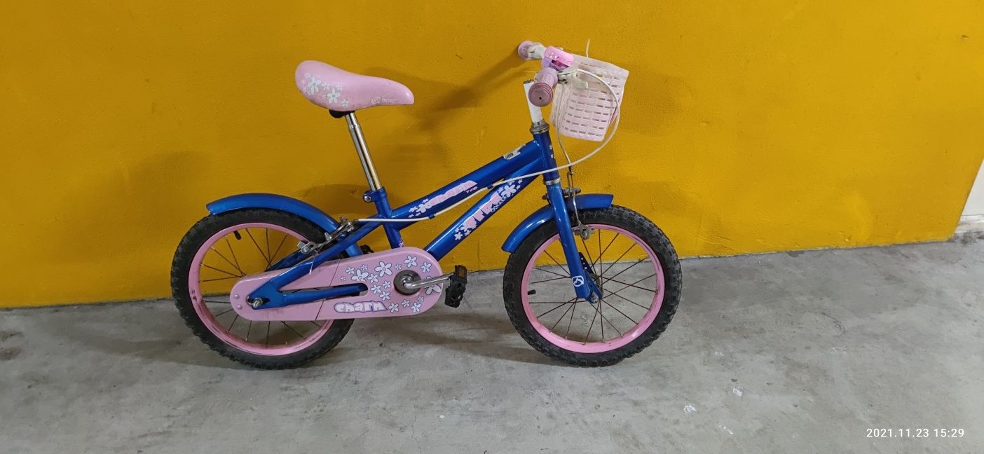 Bicicleta Menina