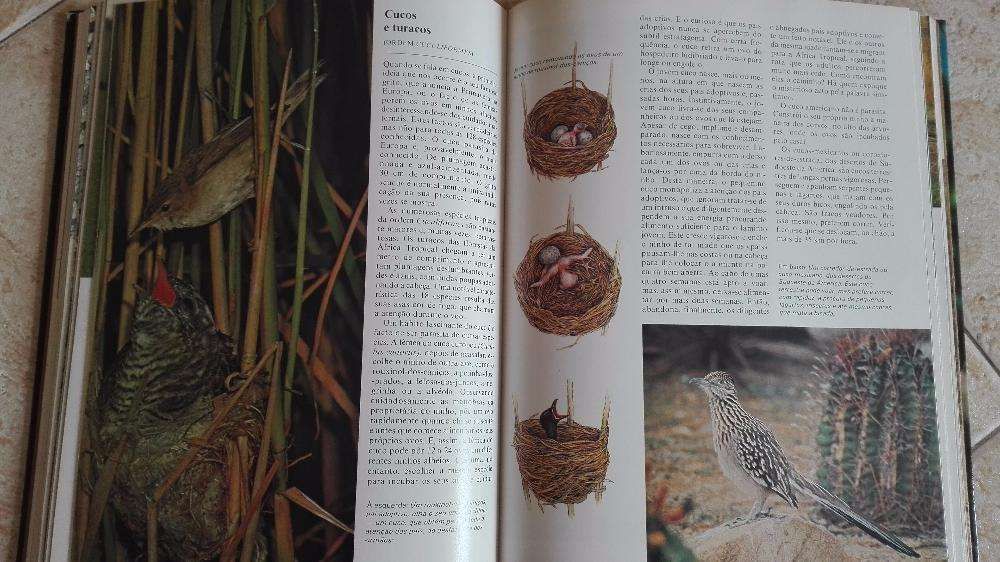Livros do Mundo Animal - Enciclopédia Ilustrada