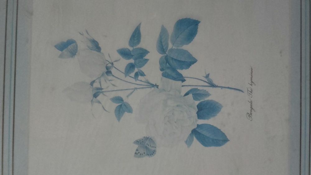 gravuras: tríptico com flores