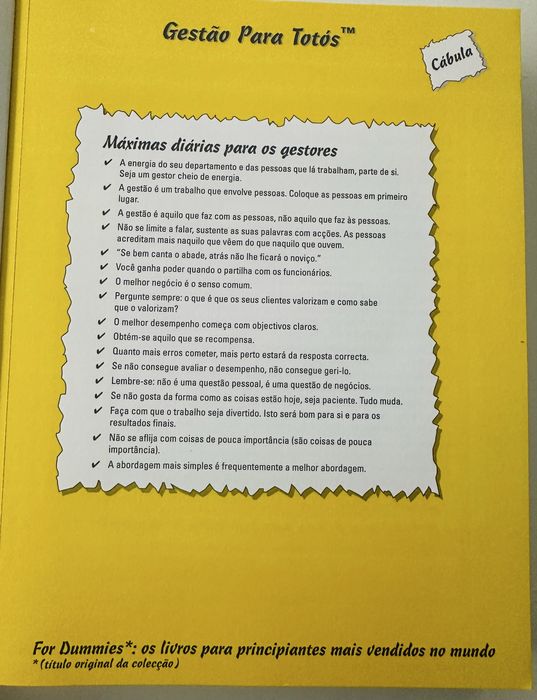 Livro Gestão Para Totós