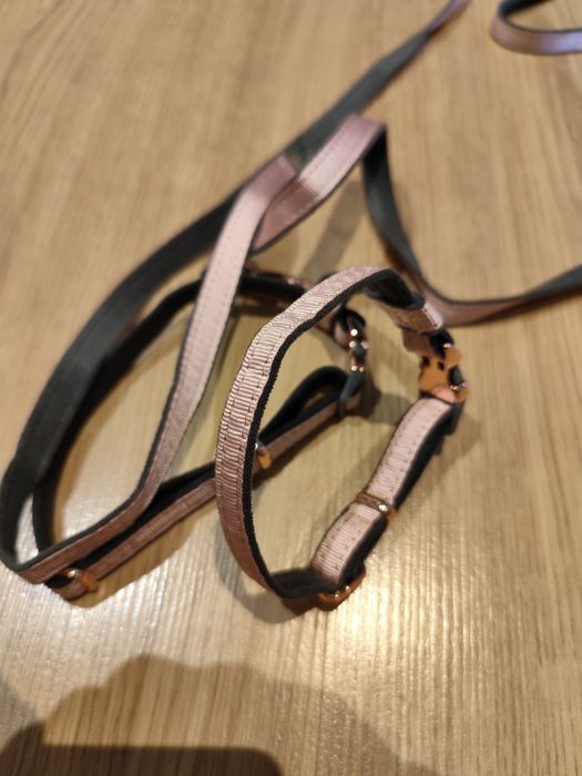 Peitoral com trela nova