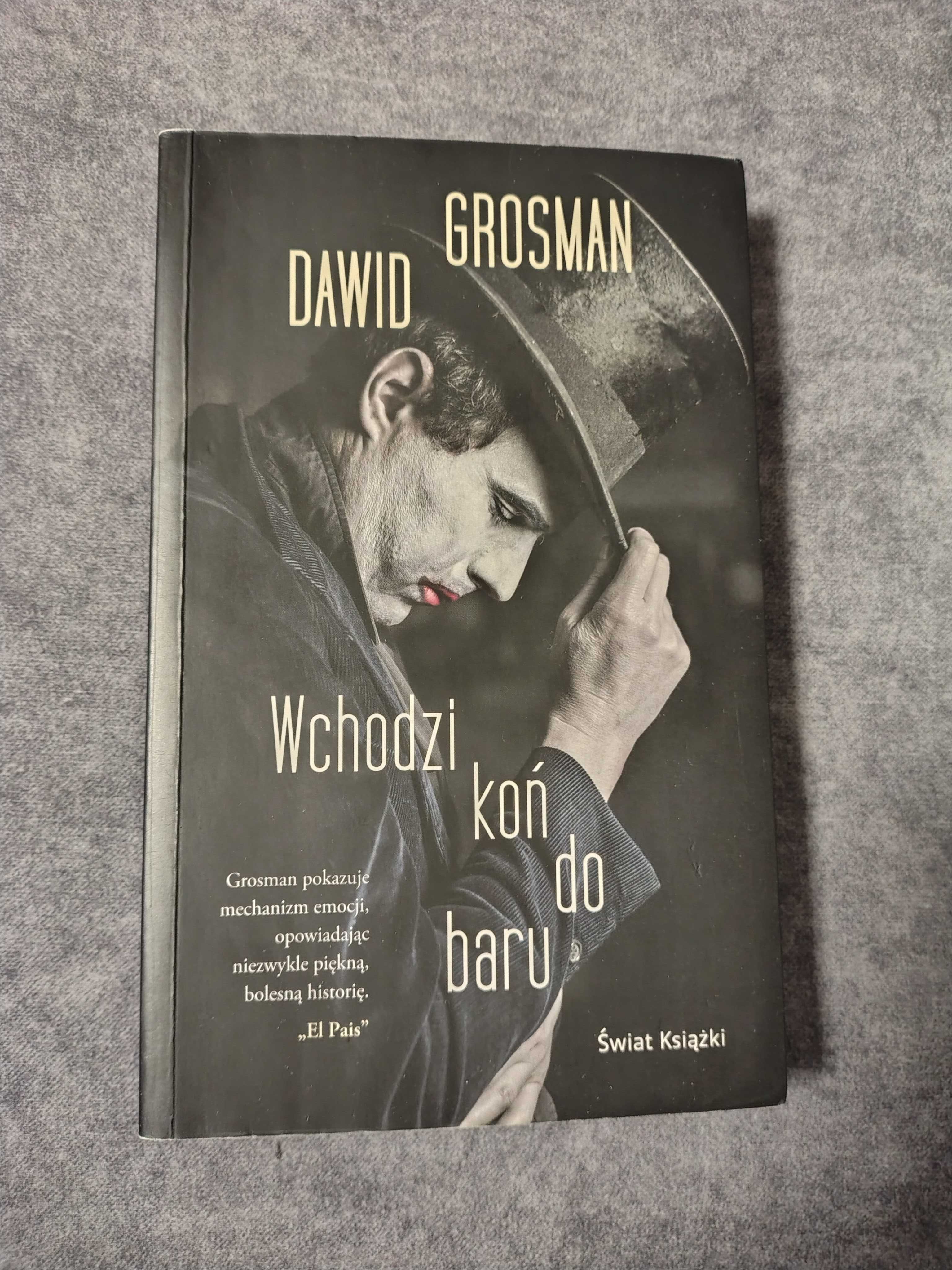 Wchodzi koń do baru - Dawid Grosman