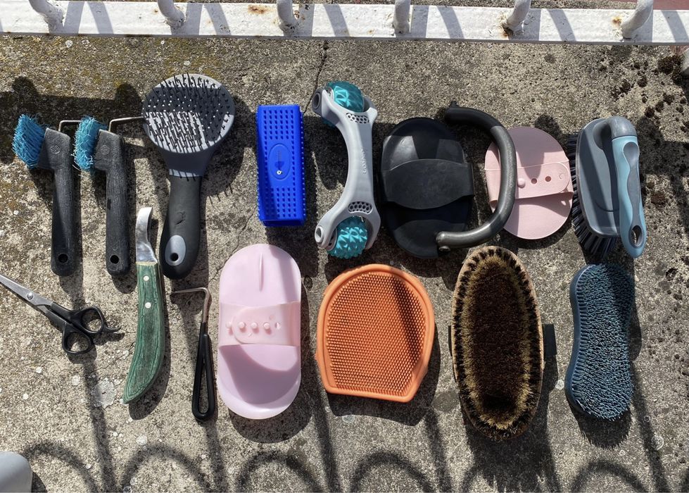 Skrzynka + szczotki dla konia Zestaw!