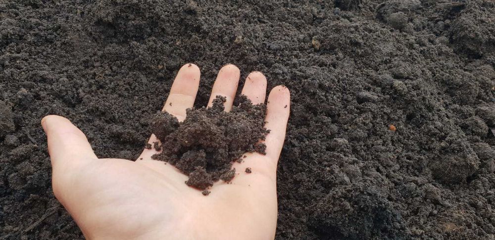 Kompost ziemia do ogrodu pod trawnik warzywniak