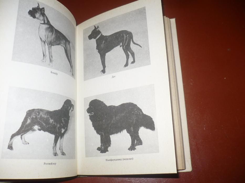 Книга Воспитание дрессировка служебных собак