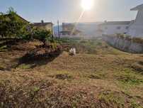 Terreno Palmaz 370 m2 viabilizado