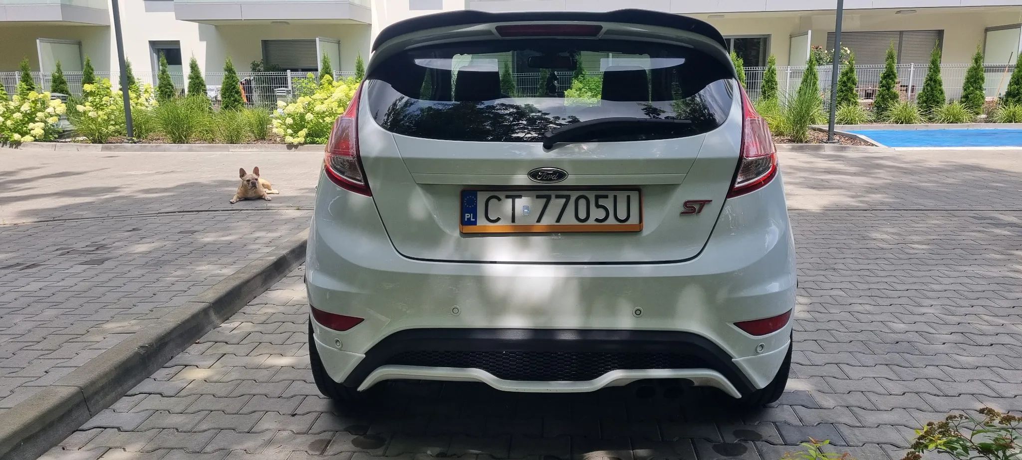 Ford Fiesta Fiesta ST,,Niski przebieg, stan bardzo dobry, 2xkomplet opon z felgami