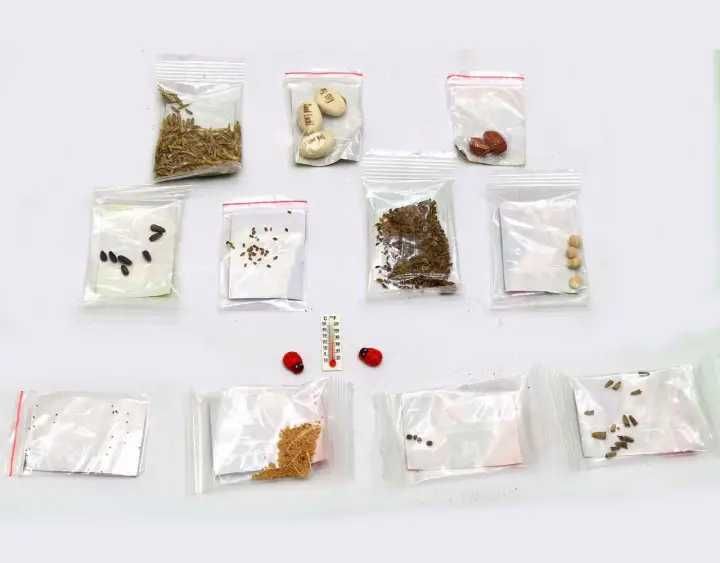 Набор для выращивания растений Danko Toys Home Florarium HFL-01-01