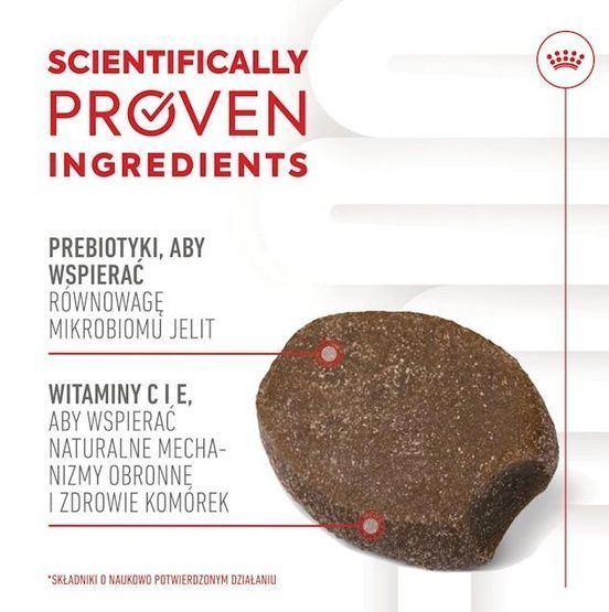 Przysmak z witaminą C i E dla szczeniąt od 6 miesiąca Royal Canin 100g