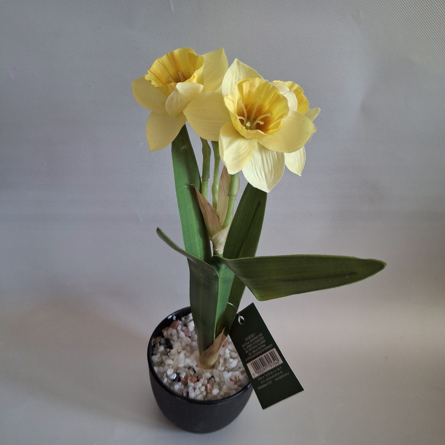 Żonkil w doniczce wys28cm nowy