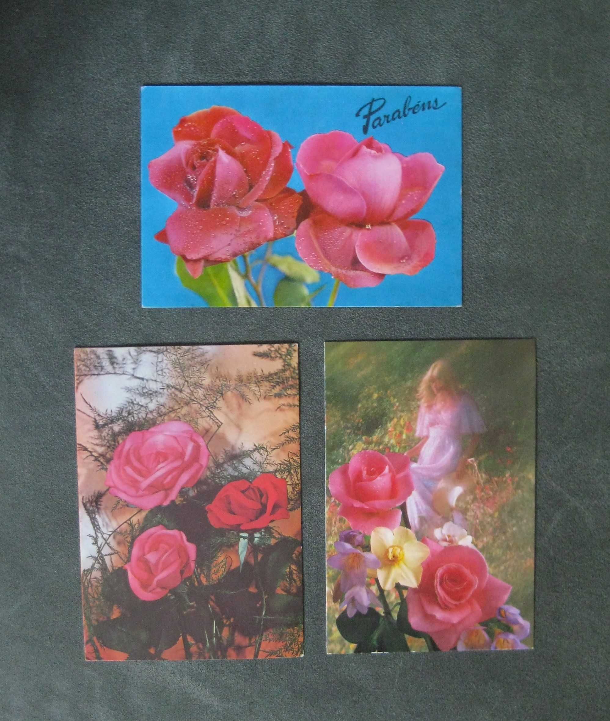 Conjunto de 7 Bilhetes Postais Rosas e Mais Flores