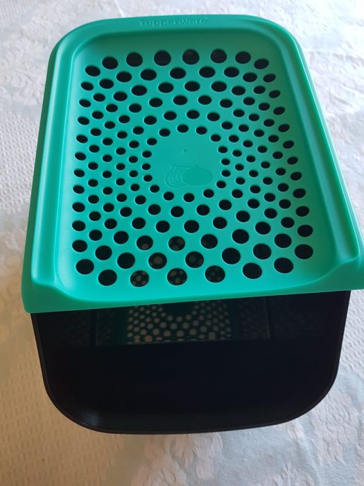 Tulha das cebolas Tupperware NOVO