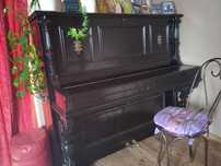 Pianino z XIX wieku antyk