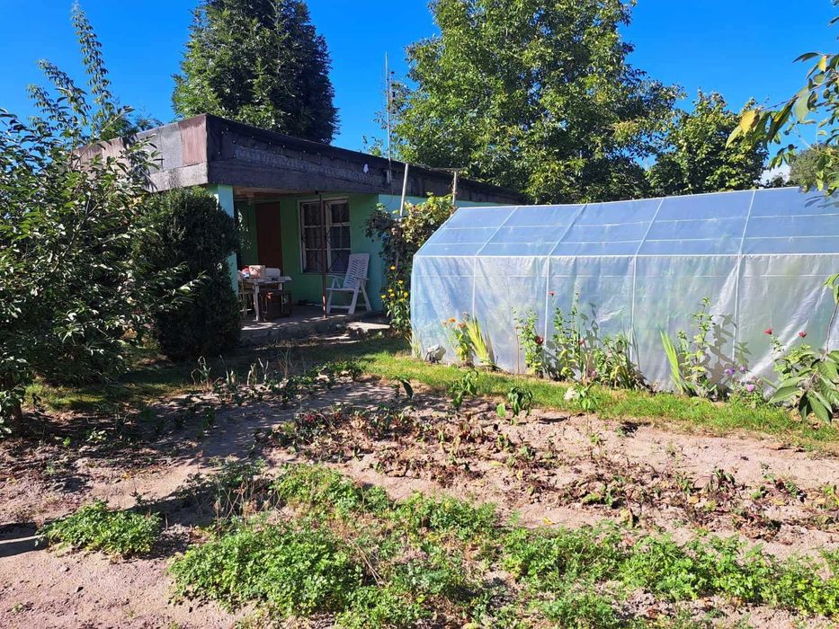 Sprzedam działkę ROD "Nad Łydynią"