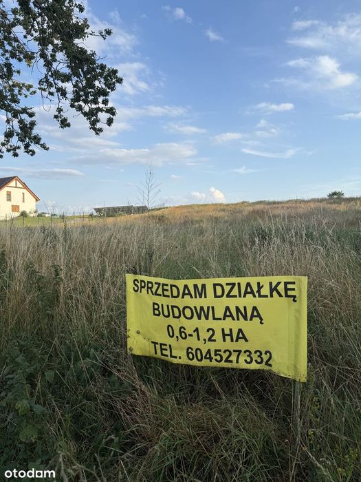 atrakcyjna działka budowlana 0,5-1,2 ha 3km zjazd z A2, S11 i jeziora