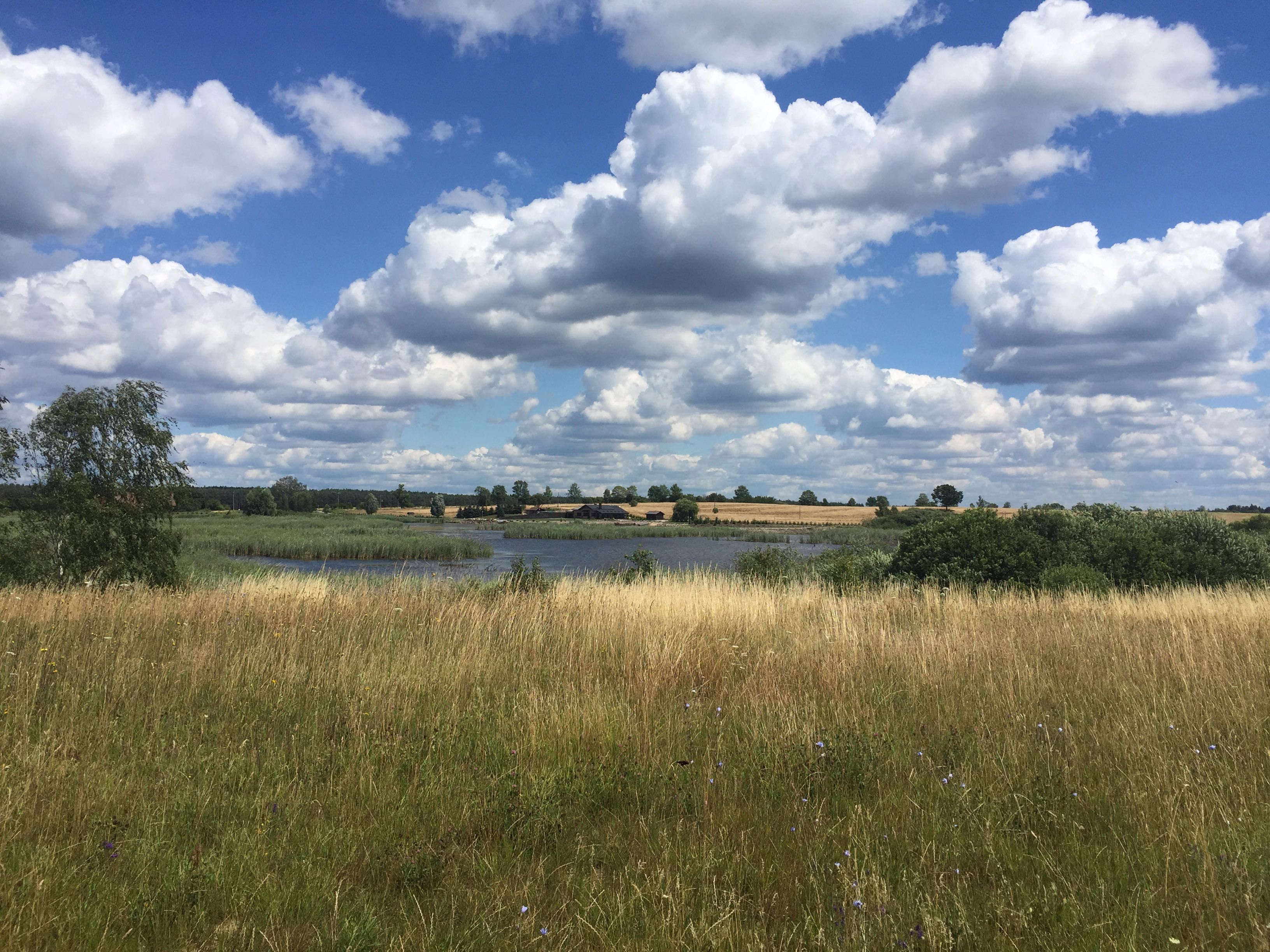 wyjątkowo piękna działka  (7 ha stawów + 13 ha łąk)