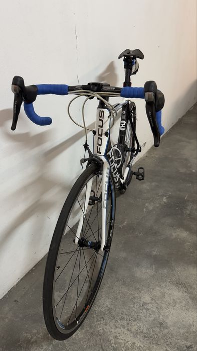 Focus Cayo Evo Carbono