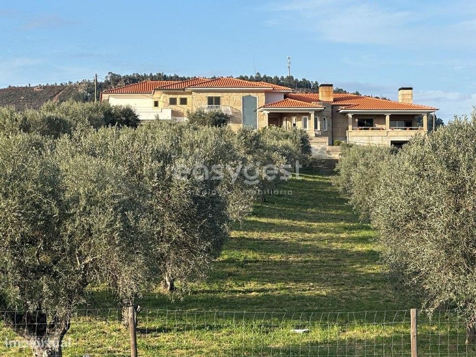 Magnifica Quinta de Luxo T5 muito bem localizada em Vila Flor