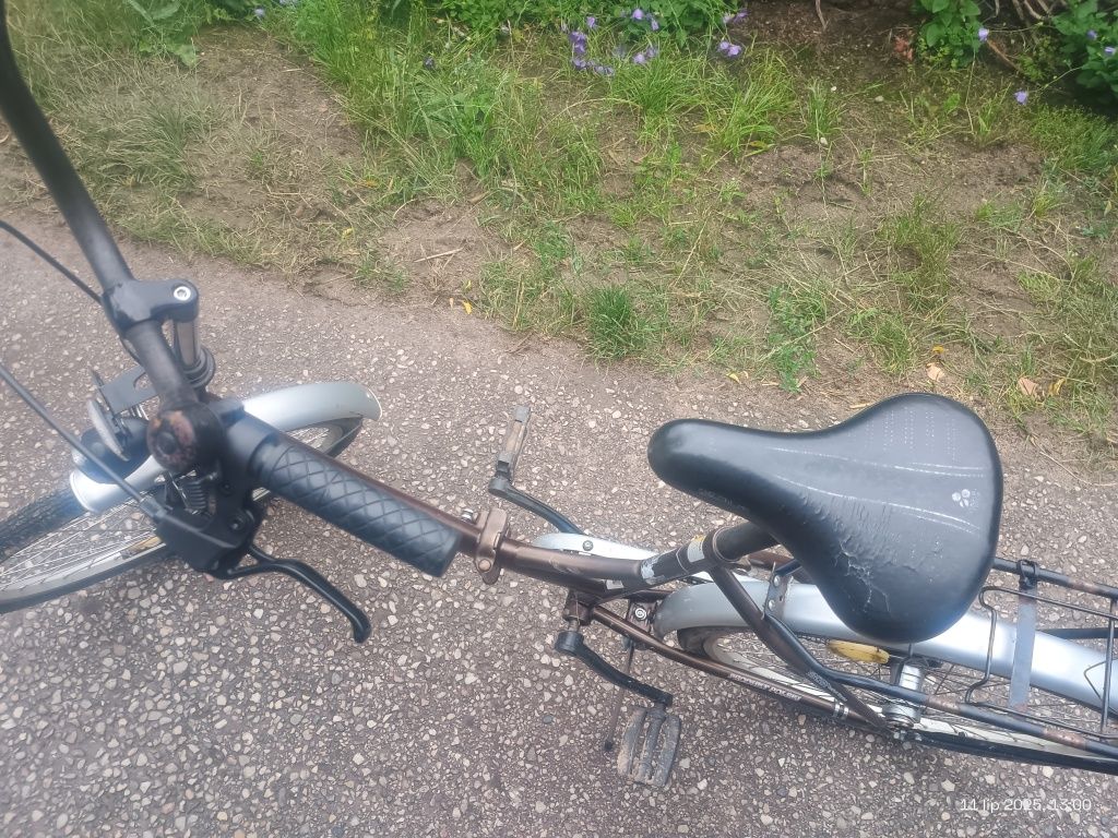 Rower damski Burghardt