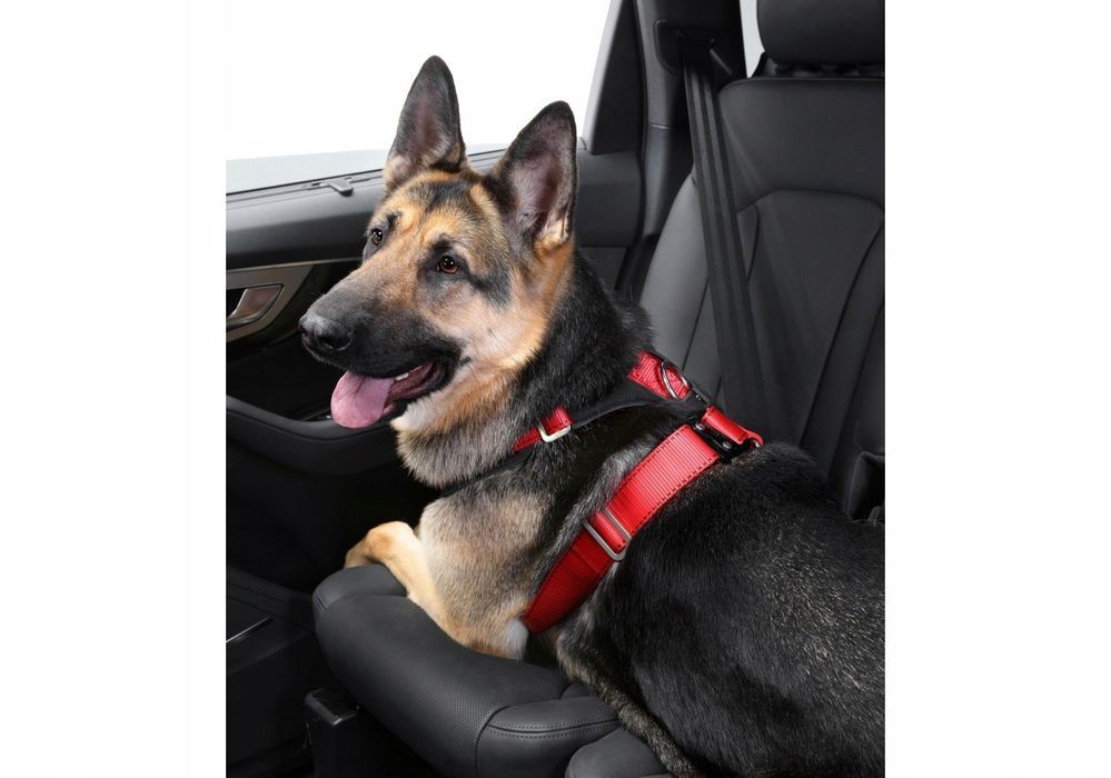 Szelki Samochodowe Dla Psa Kleinmetall Allsafe Comfort Xl