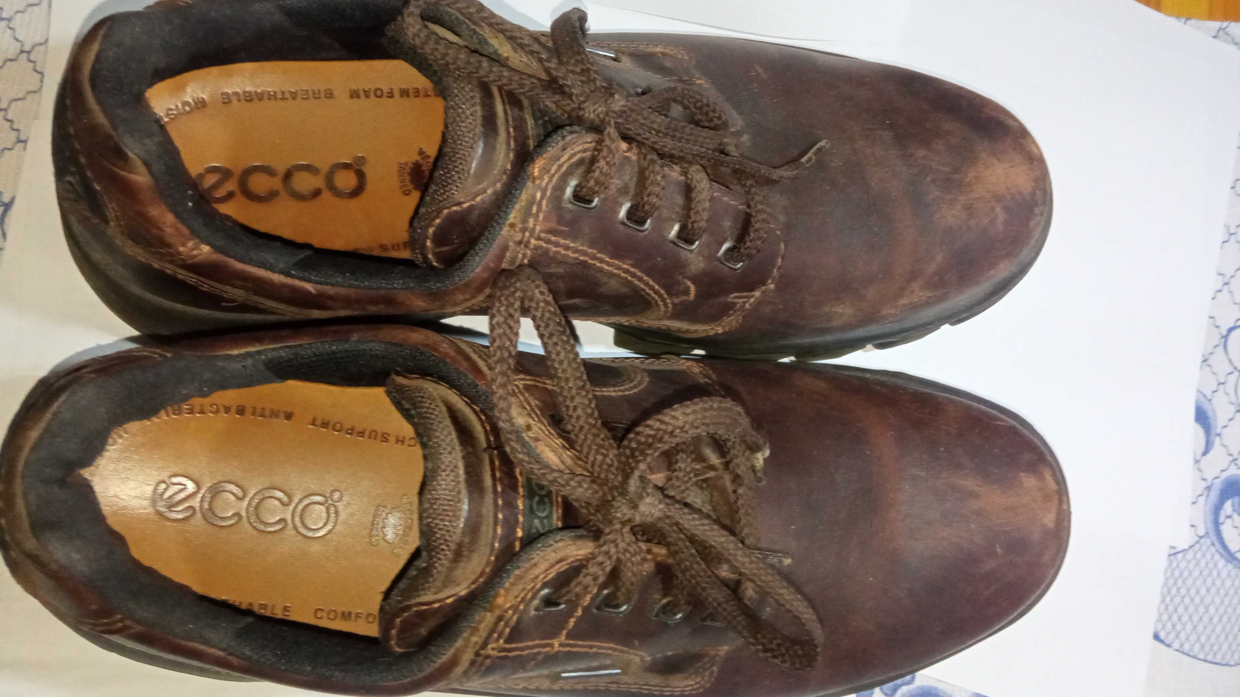 Демисезонные мужские туфли ECCO